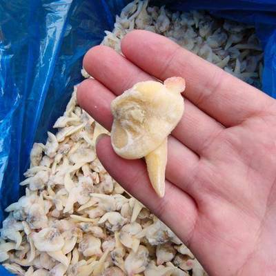 連云港農(nóng)產(chǎn)品市場(chǎng) 供應(yīng)、價(jià)格與網(wǎng)上交易平臺(tái)全景分析