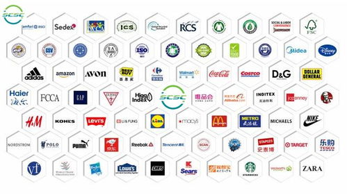 企業 GSS 驗廠無憂 智慧行定制化咨詢，高效拿證拓市場